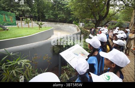 Patna, Inde. 14 juillet 2025. PATNA, INDE - 14 JUILLET : des élèves regardent les chimpanzés à l'occasion de la Journée mondiale des chimpanzés à Sanjay Gandhi Jaivik Udyan le 14 juillet 2025 à Patna, Inde. (Photo de Santosh Kumar/Hindustan Times/Sipa USA) crédit : Sipa USA/Alamy Live News Banque D'Images