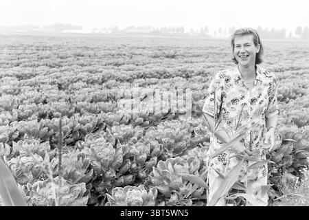 MRS van Koeckhoven-Van Haaster Nieuw-Vennep Nieuw-Vennep, Whizgle News, Dutch Desk, pays-Bas, 1950 - 2000 on 14-09-1999. Ces rubriques apparaissent dans l'image. Dans un vaste paysage agricole, un vaste champ de verdure luxuriante se déploie, dominé par des rangées de plantes feuillues vibrantes qui créent une tapisserie texturée de couleur et de forme. Les tons des verts vont de nuances profondes et sombres à la base des plantes à des verts plus clairs et frais qui brillent à la lumière, laissant entendre la vitalité des cultures. Au premier plan, une femme se tient parmi les plantes, dégageant un sentiment de joie et de contentement. Son attir Banque D'Images