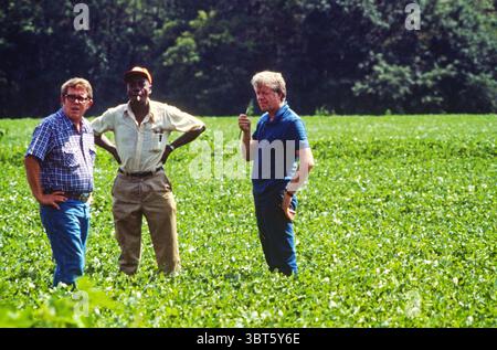 15 juin 1976 - Plains, Géorgie, États-Unis - (photo au dossier : 1976. Date exacte inconnue.) Le candidat démocrate à la présidence JIMMY CARTER (à droite) et son frère Billy carter sont rejoints par un fermier locataire alors qu’ils évaluent leur récolte d’arachides d’été. (Crédit image : © Ken Hawkins/ZUMApress.com) Banque D'Images