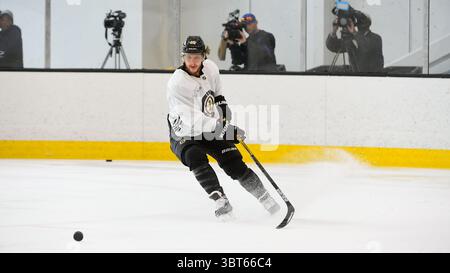 1er octobre 2019 : David Pastrnak (88 ans), aile droite des Boston Bruins, participe à la pratique des Boston Bruins qui se tient au Warrior Ice Arena de Boston, Massachusetts. Eric Canha/CSM(image de crédit : &copy ; Eric Canha/CSM via ZUMA Wire) Banque D'Images