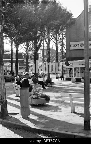Bains de soleil 3/4 Quiet Raadhuisplein plage et plages Zandvoort Raadhuisplein, Whizgle News, Dutch Desk, pays-Bas, 1950 - 2000 on 19-09-1963. Voici les rubriques de l'image. La scène représente un cadre urbain animé, caractérisé par une place animée bordée de grands pins qui fournissent des taches d'ombre. Ces arbres ont des troncs épais et un feuillage vert foncé luxuriant qui contraste avec le ciel clair et lumineux. Le sol est pavé de pierres de couleur claire disposées dans un motif géométrique, ajoutant une sensation organisée mais dynamique. Assis sur des bancs sont plusieurs individus, occupant Banque D'Images