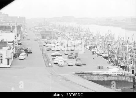Vue d'ensemble du port des pêcheurs sur la gauche le Trawlerkade. Le Vishal sur la droite IJmuiden Trawlerkade pays-Bas., Whizgle News, Dutch Desk, pays-Bas, 1950 - 2000. Ces rubriques apparaissent dans l'image. La scène représente une zone portuaire animée, avec une longue route droite longeant l'eau. D'un côté, il y a des grappes de bateaux amarrés, principalement des bateaux de pêche, présentant une variété de formes et de tailles. Les bateaux sont peints dans des teintes subtilement délavées de bleu, vert et rouge, beaucoup ornés de drapeaux colorés flottant dans la brise légère. Il y a une rangée de véhicules garés Banque D'Images