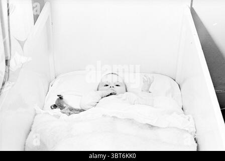 Baby in Crib., Whizgle News, Dutch Desk, pays-Bas, 1950 - 2000. Ces rubriques apparaissent dans l'image. La scène présente un cadre serein et intime axé sur un bébé allongé dans un berceau. La crèche est simple et blanche, faite de bois, offrant un environnement propre et sûr. Le bébé est niché dans une couverture douce et moelleuse qui semble être de couleur claire, peut-être blanche ou crème, ajoutant à la douceur globale de la scène. L'expression du bébé est celle de la curiosité et de l'innocence, avec de larges yeux regardant vers le haut. Une main est levée, comme si elle tendait vers l'extérieur, tandis que l'autre repose confortablement près de leur bouche, Banque D'Images