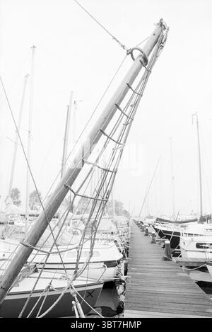 Haarlemsche Yacht Club Spaarne, Whizgle News, Dutch Desk, pays-Bas, 1950 - 2000 le 29-09-1992. Ce sont les éléments de l'image. La scène représente une marina sereine remplie de nombreux voiliers amarrés le long d'une jetée en bois. Le premier plan présente un mât en bois fortement incliné, sa texture rugueuse et altérée, mettant en valeur des grains et des nœuds profonds. Le gréement de corde est intimement tissé le long du mât, ajoutant un sens de l'artisanat nautique. En arrière-plan, plusieurs voiliers peuvent être vus, leurs mâts atteignant haut dans un ciel doux et pâle, qui semble délavé et muet, suggérant un dépassement Banque D'Images