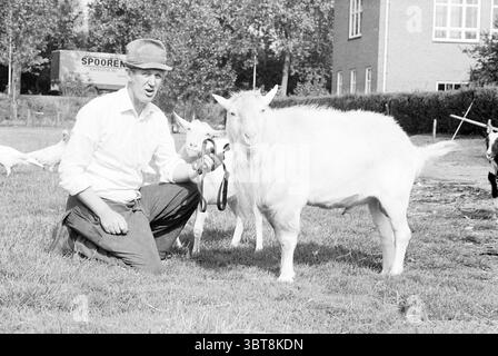 Mr. Hartman éleveur de chèvres avec quelques chèvres et une chèvre billy, Whizgle News, Dutch Desk, pays-Bas, 1950 - 2000 le 18-09-1980. L'image contient ces rubriques. Dans un cadre rural serein, un homme s'accroupit sur l'herbe, tenant une laisse attachée à une chèvre blanche amicale. La chèvre a un pelage doux et des yeux curieux, debout calmement à côté de lui. L'homme est habillé d'une chemise de couleur claire enroulée au niveau des manches, jumelée à un pantalon sombre et un chapeau simple, suggérant une journée passée à l'extérieur. L'arrière-plan est rempli de verdure et de quelques arbres, donnant une sensation naturelle et tranquille à la scène. Là Banque D'Images