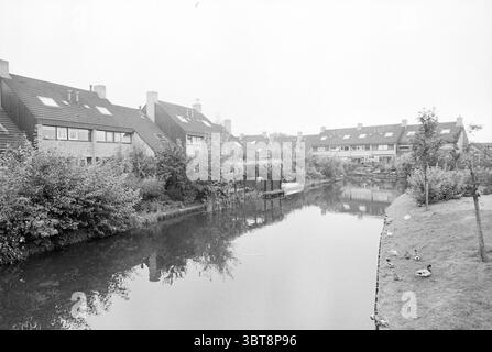 Huiswaard 2 + Huiswaard 3a Alkmaar maisons et construction de maisons Alkmaar, Whizgle News, Dutch Desk, pays-Bas, 1950 - 2000 on 05-10-1979. Ces rubriques apparaissent dans l'image. La scène présente une vue tranquille sur un quartier résidentiel le long d'un canal calme. Les maisons, caractérisées par leur conception architecturale simple, présentent des toits en pente et sont disposées symétriquement en travers de la voie navigable. Leurs tons discrets, principalement des nuances de gris et de beige doux, se fondent harmonieusement avec le ciel couvert, contribuant à une atmosphère monochromatique globale. Une végétation luxuriante entoure le canal, avec un mi Banque D'Images