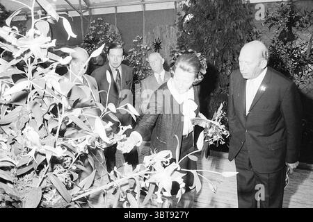 Ouverture Liliade Opening Openings Commissioning, Whizgle News, Dutch Desk, pays-Bas, 1950 - 2000 on 01-07-1970. L'image montre ces rubriques. Dans la scène, un groupe de plusieurs hommes et une femme sont engagés dans un moment dans un cadre botanique rempli de verdure luxuriante et de fleurs en fleurs. L'ambiance est riche avec diverses nuances de vert du feuillage, entrecoupées de couleurs vibrantes des grandes fleurs proéminentes, probablement originaires de la région où l'événement a lieu. Les individus sont habillés en tenue formelle, suggérant un sentiment d'occasion ou d'importance pour le rassemblement. Le Banque D'Images