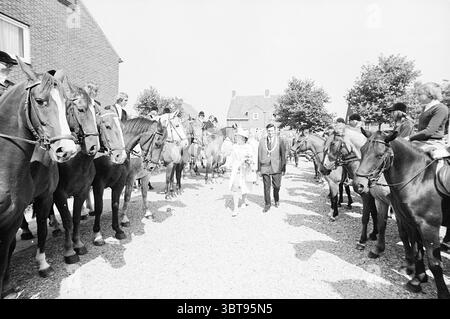 Princesse Beatrix à Nieuw-Vennep réceptions royales et visites royales, Whizgle News, Dutch Desk, pays-Bas, 1950 - 2000 le 23-08-1973. L'image montre ces rubriques. La scène présente un groupe de chevaux majestueux debout, leurs formes puissantes créant une présence visuelle saisissante. Ils sont disposés en demi-cercle, avec des cavaliers au-dessus de beaucoup d'entre eux, vêtus d'une tenue formelle, suggérant une occasion spéciale ou une célébration. Les chevaux présentent une variété de couleurs, avec des bruns riches, des noirs profonds et des gris clairs, leurs manteaux élégants chatoyant doucement dans la lumière du soleil. Au centre de la scène, un cou Banque D'Images