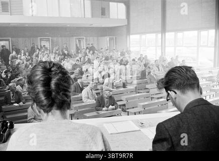 Vente aux enchères de légumes Beverwijk Auction, Whizgle News, Dutch Desk, pays-Bas, 1950 - 2000 le 17-06-1963. Ce sont les éléments de l'image. La scène représente un grand espace intérieur animé, rappelant une salle de conférence ou un auditorium. La salle est remplie de bancs en bois disposés en rangées, où un groupe diversifié d'individus est assis. Les gens, mélange d'âges et de sexes, affichent une gamme d'expressions, de la concentration à l'engagement occasionnel les uns avec les autres. Au premier plan, deux figures sont partiellement visibles, leurs cheveux et leurs vêtements suggérant un style vintage qui évoque un se Banque D'Images