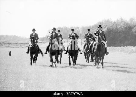 Chasse à la glisse Spaarnwoude chasse Spaarnwoude, Whizgle News, Dutch Desk, pays-Bas, 1950 - 2000 on 11-10-1987. Ces rubriques sont illustrées dans l'image. Dans une zone herbeuse ouverte, un groupe de sept cavaliers à cheval avance en toute confiance à travers le paysage. Chaque cavalier est vêtu d'une tenue équestre formelle, caractérisée par des vestes sur mesure et de hauts chapeaux noirs, qui donnent un air d'élégance à la scène. Les chevaux, un mélange de races, présentent des formes musculaires et des manteaux brillants, leur rôle de compagnons des cavaliers évident dans leurs mouvements serrés. La toile de fond est luxuriante et verte, parsemée d'arbres t Banque D'Images