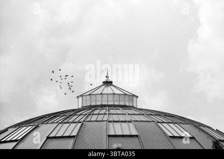Pigeons au-dessus de la prison, Whizgle News, Dutch Desk, pays-Bas, 1950 - 2000 le 12-08-1992. L'image inclut ces rubriques. La scène présente une grande structure arrondie avec un dôme proéminent à son sommet, mettant en valeur une flèche pointue qui ajoute une importance verticale à la composition. Le dôme est fabriqué à partir de panneaux de verre qui reflètent une lumière silencieuse, contrastant magnifiquement avec l'environnement environnant. Le ciel au-dessus est couvert, rempli de nuages doux et diffus qui créent une atmosphère sombre, projetant un doux ton gris sur toute la scène. Un petit troupeau d'oiseaux est vu en vol, silhouette Banque D'Images