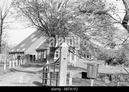 Heemshof Farm Heemskerk Farms Heemskerk, Whizgle News, Dutch Desk, pays-Bas, 1950 - 2000 on 21-10-1981. Voici les rubriques de l'image. La scène représente un cadre rural tranquille avec un long chemin de terre sinueux menant à une modeste propriété. Le premier plan présente une porte en bois altérée, qui ajoute une touche rustique à la scène. De chaque côté du chemin, des poteaux sporadiques en bois blanc bordent le chemin, créant une frontière accueillante. À droite, la maison est bien en vue, avec un toit à pignons et une série de fenêtres qui reflètent un caractère fonctionnel et chaleureux. Le St Banque D'Images