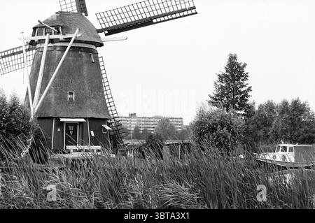 Mill in view, Whizgle News, Dutch Desk, pays-Bas, 1950 - 2000 en 1992. Ces rubriques sont illustrées dans l'image. La scène capture un moulin à vent traditionnel, sa structure se tenant en évidence sur un fond de tons sourds. Le moulin à vent, caractérisé par son extérieur en bois sombre et le toit pointu emblématique, a plusieurs grandes lames qui s'étendent vers l'extérieur, leurs angles créant un sens dynamique du mouvement, bien qu'ils apparaissent encore à ce moment. Autour du moulin à vent, une variété de verdure luxuriante comprend de hautes herbes se balançant doucement dans la brise, ajoutant de la texture au premier plan. Clusters de Banque D'Images