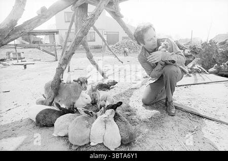 Ancien psychologue Ajax dans Breda Persons, Whizgle News, Dutch Desk, pays-Bas, 1950 - 2000 on 17-04-1974. Voici les rubriques de l'image. Dans la scène, un homme interagit tendrement avec un petit animal, peut-être un lapin, le berçant dans ses bras. Il est positionné légèrement à droite, penché vers le bas vers un groupe d'animaux rassemblés autour de lui. Les animaux, principalement des lapins dans différentes nuances de blanc, gris et brun, sont regroupés sur le sol, suggérant un sentiment de confort et de sécurité dans leur environnement. Le cadre est un espace extérieur au charme rustique, avec une structure en bois Banque D'Images