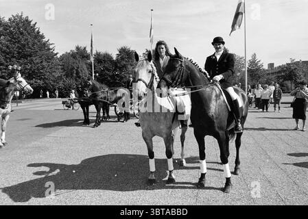 Mariage à cheval Hoofddorp pays-Bas, Whizgle News, Dutch Desk, pays-Bas, 1950 - 2000 le 24-08-1990. Ces rubriques sont illustrées dans l'image. Dans la scène, une paire de chevaux élégamment damés se tient bien en évidence à l'avant-garde, encadrée par une foule animée en arrière-plan. Les chevaux semblent bien entraînés, montrant un comportement calme. Un cheval est gris clair, tandis que l'autre a un riche manteau noir, tous deux ornés d'enveloppements de jambes blancs croustillants qui contrastent magnifiquement avec leur fourrure. Monter au sommet du cheval noir est un homme habillé dans une tenue équestre formelle, y compris une veste ajustée, t Banque D'Images