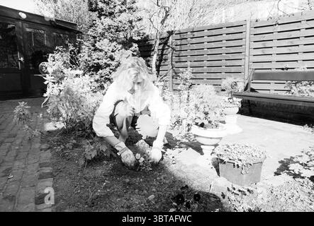 MRS Pol dans le jardin en raison des jardins du club de jardin et des parcs, Whizgle News, Dutch Desk, pays-Bas, 1950 - 2000 le 30-03-1989. Voici les rubriques de l'image. Dans un jardin tranquille, une personne s'agenouille près de la terre, engagée dans la plantation de fleurs. La scène capture un effort méticuleux, avec de la terre dispersée autour de leurs mains, suggérant une connexion avec la terre. L'individu est vêtu d'une chemise de couleur claire, qui contraste avec les teintes plus foncées du sol et de la verdure environnante. Autour d'eux est une variété de plantes : certaines fleurs vibrantes et d'autres en pots, améliorant Banque D'Images