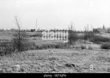 Wasteland Ruigoord tour d'église et industrie dans le fond Haarlemmerliede, Whizgle News, Dutch Desk, The Netherlands, 1950 - 2000 sur 21-11-1980. L'image contient ces rubriques. La scène représente un vaste paysage ouvert caractérisé par une palette monochrome discrète. Au premier plan, des taches herbeuses, teintées d'un gris clair, s'étendent sur le sol. Des arbres clairsemés et sans feuilles parsèment la zone, leurs branches élancées s'étendant vers le haut, ajoutant une impression de hauteur et de délicatesse. Alors que l'œil se déplace vers le milieu, un groupe de bâtiments émerge, légèrement flous mais discernables. Une structure proéminente a Banque D'Images