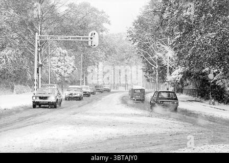 Snowy avenue (Haarlem area), Whizgle News, Dutch Desk, The Netherlands, 1950 - 2000 on 07-11-1980. These topics are shown in the image. The scene depicts a winter landscape blanketed in snow, creating a serene yet somewhat desolate atmosphere. The ground is covered in a thick layer of white snow, which reflects the muted light of a cloudy day. On either side of the road, trees heavy with snow create a natural border, their branches drooping under the weight. In the background, outlines of more trees can be seen mixing with the foggy air, enhancing the depth of the scene. The road itself is a m Banque D'Images