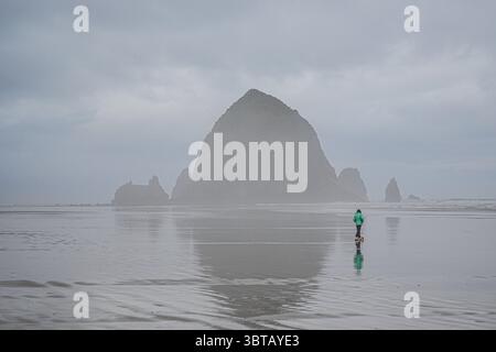 Une femme promenant son chien un matin brumeux à la plage. Une vue vauge de Haystack Rock en arrière-plan. Son manteau brillant se distingue du gris Banque D'Images
