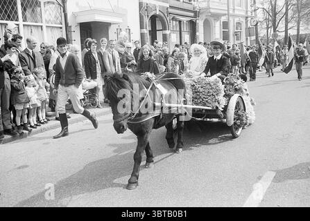 Festivités à Haarlem Spaarndam Schalkwijk Hillegom Heemstede lisse Hoofddorp Zwanenburg Zandvoort Journée de la Reine, Whizgle News, Dutch Desk, pays-Bas, 1950 - 2000 le 30-04-1969. Ces rubriques apparaissent dans l'image. Dans une scène de rue animée, une petite foule se rassemble le long d'un chemin flanqué de bâtiments, mettant en valeur un mélange de styles architecturaux qui suggèrent un cadre pittoresque, peut-être historique. Les gens sont habillés dans un mélange de tenues formelles et décontractées, avec des hommes portant des costumes et des femmes ornées de robes, faisant allusion à une occasion festive. Au centre, un petit poney noir tire un chariot, décoré Banque D'Images