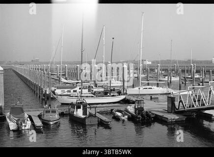 Marina et bateaux de pêche IJmuiden pays-Bas, Whizgle News, Dutch Desk, pays-Bas, 1950 - 2000 le 24-03-1996. L'image contient ces rubriques. La scène capture une marina animée par l'activité. De nombreux bateaux sont ancrés dans les eaux tranquilles et ondulantes, reflétant les teintes douces du ciel. Les navires varient en taille et en design, certains semblant élégants et modernes, tandis que d'autres sont plus traditionnels, présentant une gamme de couleurs allant des jaunes et bleus vifs aux blancs immaculés. Le quai s'étend dans l'eau, doublé de poteaux en bois robustes qui se dressent haut contre le doux c Banque D'Images