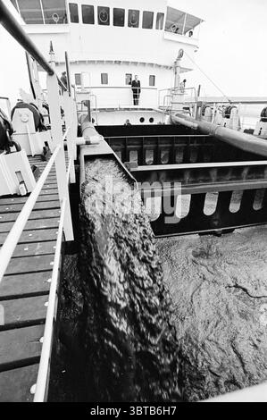 Pont de drague, Whizgle News, Dutch Desk, pays-Bas, 1950 - 2000 en 1971. L'image contient ces rubriques. La scène capture un moment dynamique à bord d’un navire, mettant l’accent sur l’interaction des éléments industriels et de l’environnement environnant. Le premier plan présente un grand tuyau robuste s'étendant du pont du navire, avec de l'eau sombre et trouble qui coule en cascade, créant des ondulations lorsqu'elle se mélange avec la mer. La texture de l'eau semble turbulente, indiquant un mouvement récent, et le contraste du liquide qui coule contre la surface ajoute une sensation de mouvement. Au milieu du terrain, un bien-structu Banque D'Images