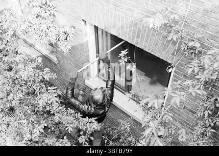 Tentative d'entrer dans un bâtiment sans clés par le cambrioleur Fred Steenman, Whizgle News, Dutch Desk, pays-Bas, 1950 - 2000 le 22-04-1977. L'image contient ces rubriques. La scène représente un individu engagé dans une tâche en dehors d'un cadre urbain, caractérisé par un mur de briques qui forme la toile de fond. La personne est vêtue de vêtements sombres, ce qui contraste fortement avec les tons doux et discrets de l'environnement environnant. Une palette de couleurs grises et discrètes donne une impression sombre ou tendue. Le feuillage encadre la scène, avec des feuilles et des branches empiétant sur les côtés. Cette verdure ajoute une couche de t Banque D'Images