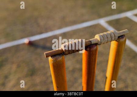 Trois souches de cricket en bois sont debout sur le terrain de cricket avec des balles, balle rouge près des lignes de pli Banque D'Images
