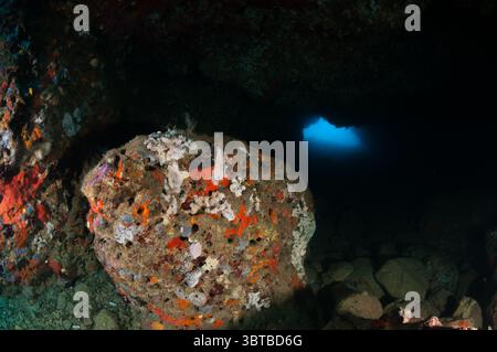 Entrée dans une grotte sous-marine avec des éponges sur un rocher, l'Escala, Costa Brava, Catalogne, Espagne Banque D'Images