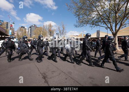 13 septembre 2020, Melbourne, Victoria, Australie : la police anti-émeute lors d'un rassemblement contre les règlements de confinement à Melbourne. Les Melburniens ne sont autorisés à quitter leur foyer que pour quatre raisons et l'État a imposé un couvre-feu de 20 heures à 5 heures du matin le 2 août qui ne sera levé que le 26 octobre. (Crédit image : © Sydney Low/ZUMA Wire) Banque D'Images