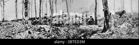 Infanterie alliée avançant à travers l'Argonne, France 1918 Banque D'Images