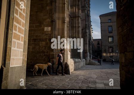 16 septembre 2020, Barcelone, Catalogne, Espagne : un homme portant un masque promène son chien près du quartier gothique de Barcelone. Les décès officiels de coronavirus en Espagne dépassent maintenant les 30 000, avec un total d’infections de 603 167. (Crédit image : © Jordi Boixareu/ZUMA Wire) Banque D'Images