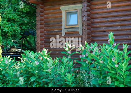 Une cabane en rondins avec une fenêtre et des fleurs à l'avant. Banque D'Images