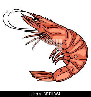 Une illustration vectorielle vibrante d'une crevette unique stylisée, représentée dans une pose dynamique avec des caractéristiques anatomiques détaillées et un colo corail orange audacieux Illustration de Vecteur