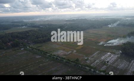 Vue aérienne sur des champs cultivés montrant des terres agricoles avec des panaches de fumée et une forêt voisine par jour couvert Banque D'Images