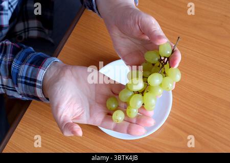 Les mains d'une femme âgée tiennent un petit pinceau de raisins blancs sans pépins et les exposent dans la cuisine à une table brune, sans visage, en gros plan Banque D'Images