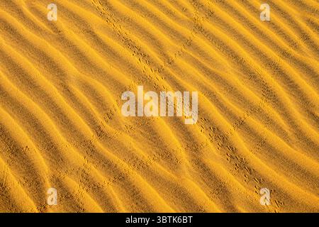 Dunes du désert du Sahara- Erg Chebbi, Merzouga, Errachidia, Maroc Banque D'Images