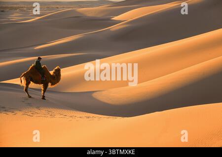 Vue latérale d'un jeune homme chevauchant un chameau bactrien (Camelus bactrianus), désert de Gobi, Mongolie Banque D'Images
