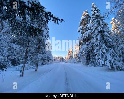Une scène hivernale pittoresque avec une route enneigée à travers une forêt. Banque D'Images