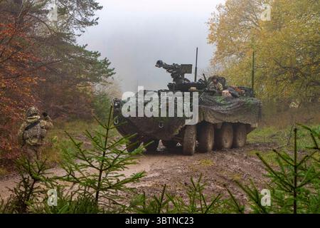 3 novembre 2019 - Hohenfels, Allemagne - des soldats de l'armée américaine affectés à la troupe Comanche, 1st Squadron, 2d Cavalry Regiment se préparent à dissimuler un véhicule Stryker Infantry Carrier pendant Dragoon Ready 20 au joint multinational Readiness Center à Hohenfels, Allemagne, 3 novembre 2019. Dragoon Ready est un exercice dirigé par le 7e Commandement d’entraînement de l’armée conçu pour assurer la préparation et certifier les soldats du 2CR en préparation au combat de l’OTAN et en opérations terrestres unifiées. (Crédit image : © U.S. Army/ZUMA Wire/ZUMAPRESS.com) Banque D'Images
