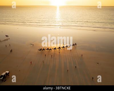 Vue aérienne de chameaux marchant le long de la plage au coucher du soleil, projetant de longues ombres sur le sable, Broome, Australie occidentale, Australie. Banque D'Images