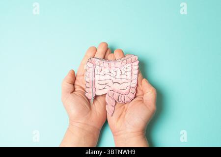 Cancer du côlon, colorectal ou rectal, maladie inflammatoire de l'intestin, perte de poids, douleurs abdominales et fatigue, Morbus Crohn, colite ulcéreuse, digestif S Banque D'Images