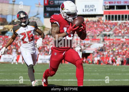 10 novembre 2019 : Christian Kirk (13 ans), receveur des Arizona Cardinals Wide, attrape le ballon pour un touchdown lors du match NFL entre les Arizona Cardinals et les Tampa Bay Buccaneers qui se tient au Raymond James Stadium de Tampa, en Floride. Andrew J. Kramer/Cal Sport Media(crédit image : &copy ; Andrew J. Kramer/CSM via ZUMA Wire) Banque D'Images