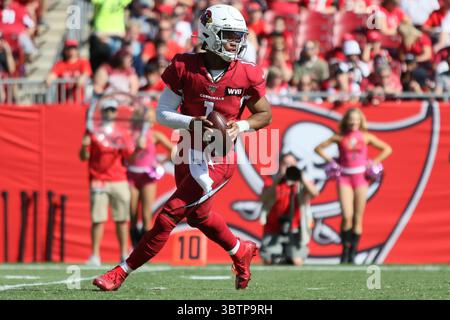 10 novembre 2019 : le quarterback des Arizona Cardinals, Kyler Murray (1), semble passer lors du match NFL entre les Arizona Cardinals et les Tampa Bay Buccaneers qui se tient au Raymond James Stadium de Tampa, en Floride. Andrew J. Kramer/Cal Sport Media(crédit image : &copy ; Andrew J. Kramer/CSM via ZUMA Wire) Banque D'Images