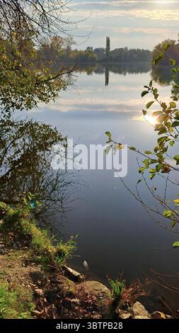Scène tranquille au bord du lac au début de l'automne avec le soleil se reflétant sur l'eau calme, encadrée par des branches en surplomb et des plantes du rivage. Banque D'Images