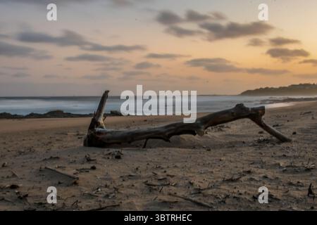 Plage sauvage et moins fréquentée de KZN South Cioast Durban près de Hibberdene et port shepstone Banque D'Images