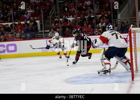 23 novembre 2019 : Sebastian Aho (20 ans), membre de l'aile droite des Hurricanes de la Caroline du Nord, lors du match de la LNH entre les Panthers de la Floride et les Hurricanes de la Caroline au PNC Arena de Raleigh, Caroline du Nord. Brian McWalters/CSM(image de crédit : &copy ; Brian Mcwalters/CSM via ZUMA Wire) Banque D'Images