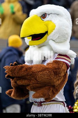 23 novembre 2019 : la mascotte du Boston College se produit lors d'un match de football NCAA entre les Boston College Eagles et notre Dame Fighting Irish au notre Dame Stadium de South Bend, Indiana. Notre Dame bat Boston College 40-7. John Mersits/CSM.(image de crédit : &copy ; John Mersits/CSM via ZUMA Wire) Banque D'Images