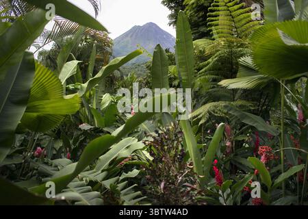 28 octobre 2016, Costa Rica : vue sur le volcan depuis les chambres du Nayara Hotel, Spa & Gardens, Oeste de Fortuna, la Fortuna de San Carlos, Parc national du volcan Arenal, Costa Rica (crédit image : © Sergi Reboredo/ZUMA Wire) Banque D'Images