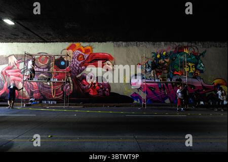 27 novembre 2019, San Salvador, San Salvador, El Salvador : vue générale d'un passage supérieur où un artiste graffiti de plusieurs pays peignent pendant la zone 503 : festival international du graffiti. (Crédit image : © Camilo Freedman/ZUMA Wire) Banque D'Images